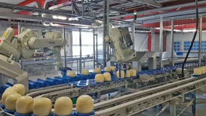 Carryline conveyor for cheeses as part of a turnkey solution
